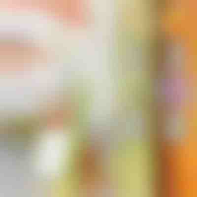 Mehrzweckschneider | SLICEWISE