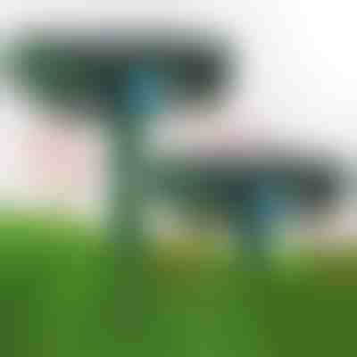 Maulwürfe & Katzen weg - Kein Gift, keine Fallen | SONICFIELD