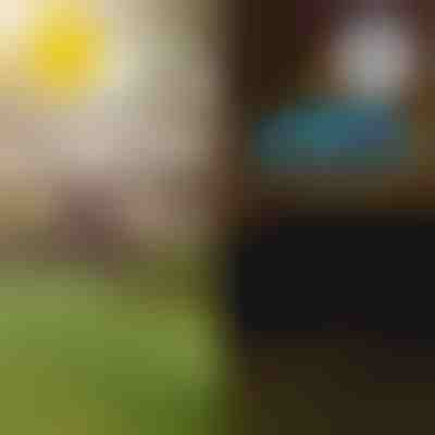 Solar-Tropen-Gartenleuchten | LUMIPALM