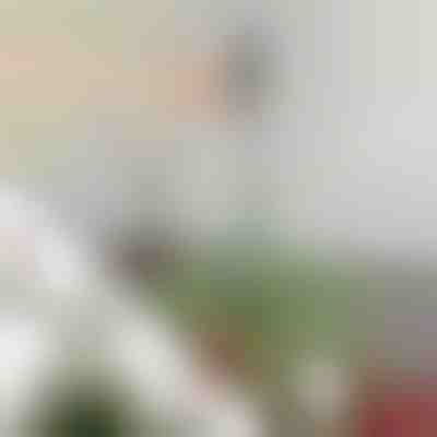 Verstellbare Baumspitzen-Stabilisatorstange | STABLESTAR